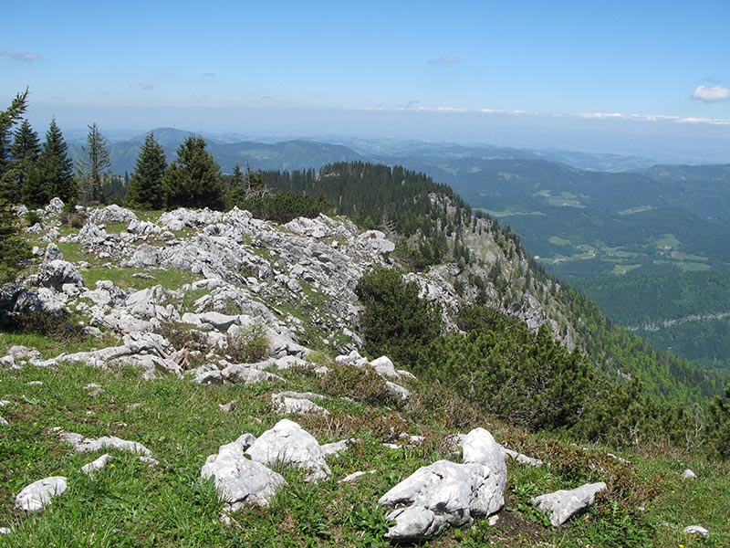 Kleiner hetzkogel